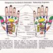 Reflexology pocket card